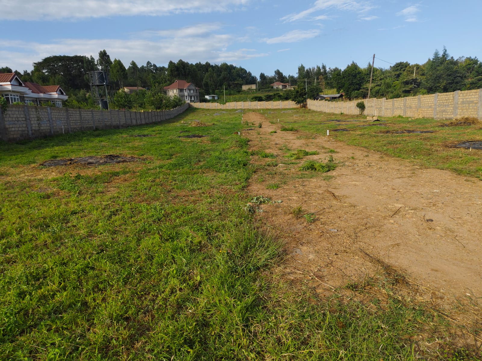 Road construction survey