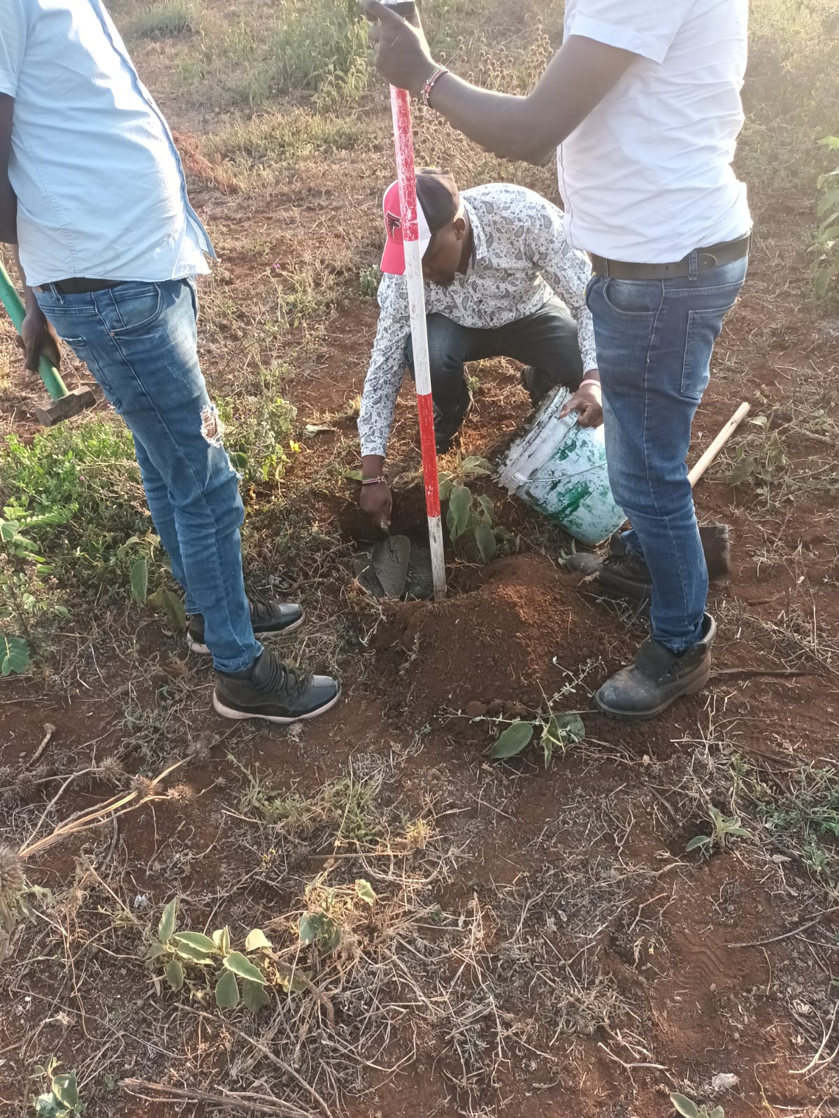 Team collaboration on site